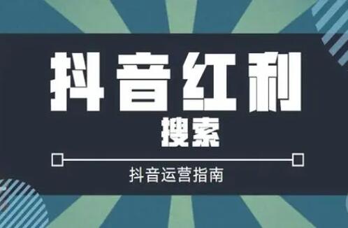 【案例】抖音SEO精准引流1000个项目粉，成功变现5万